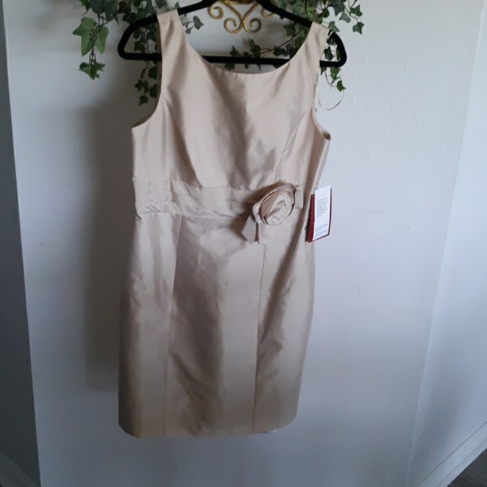Lord & Taylor Dress New